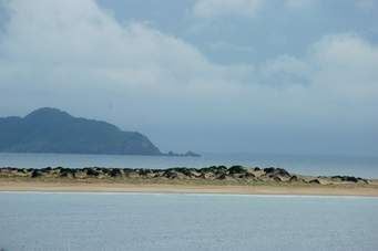 Newcastle Explorer Image -5a0a2d4b8256a